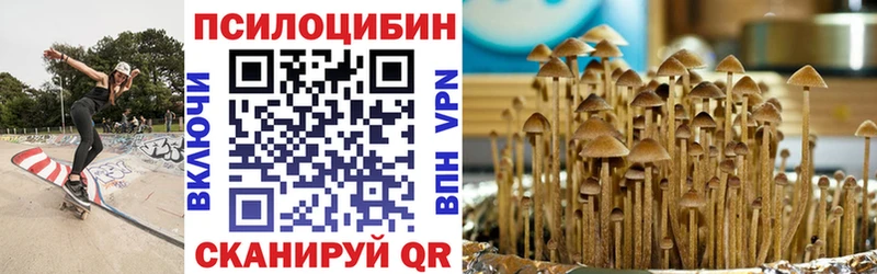 блэк спрут зеркало  Новошахтинск  darknet клад  Псилоцибиновые грибы ЛСД 
